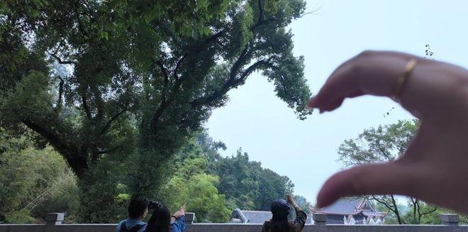 搞笑图片：​​​