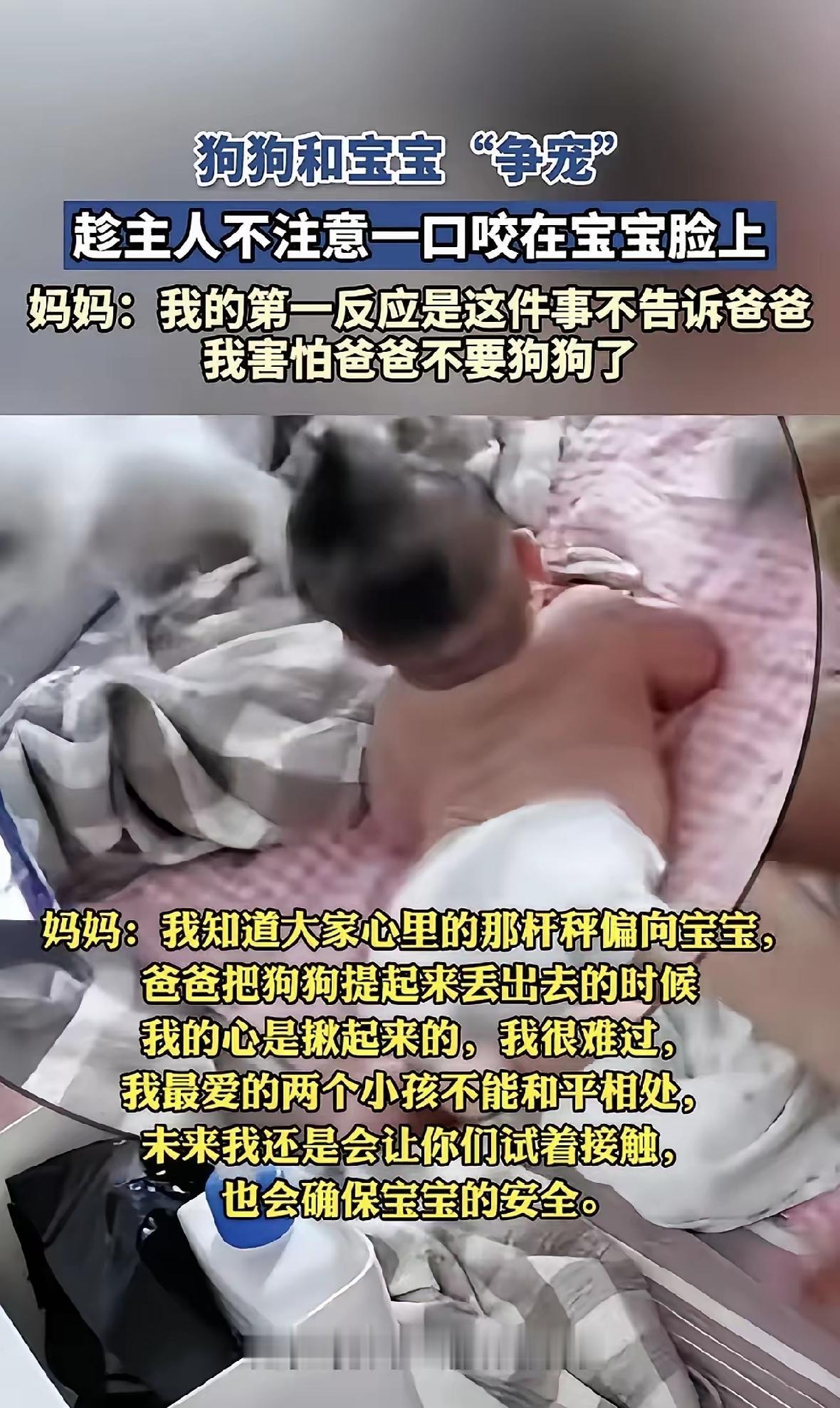 刷到一个视频，狗狗因为争宠咬伤小宝宝，事发之后这位妈妈第一反应不是优先查看孩子伤
