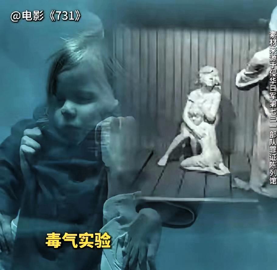 导演你睡了吗？我今晚注定无眠，不是因为惊悚画面而是《731》里那个十二岁