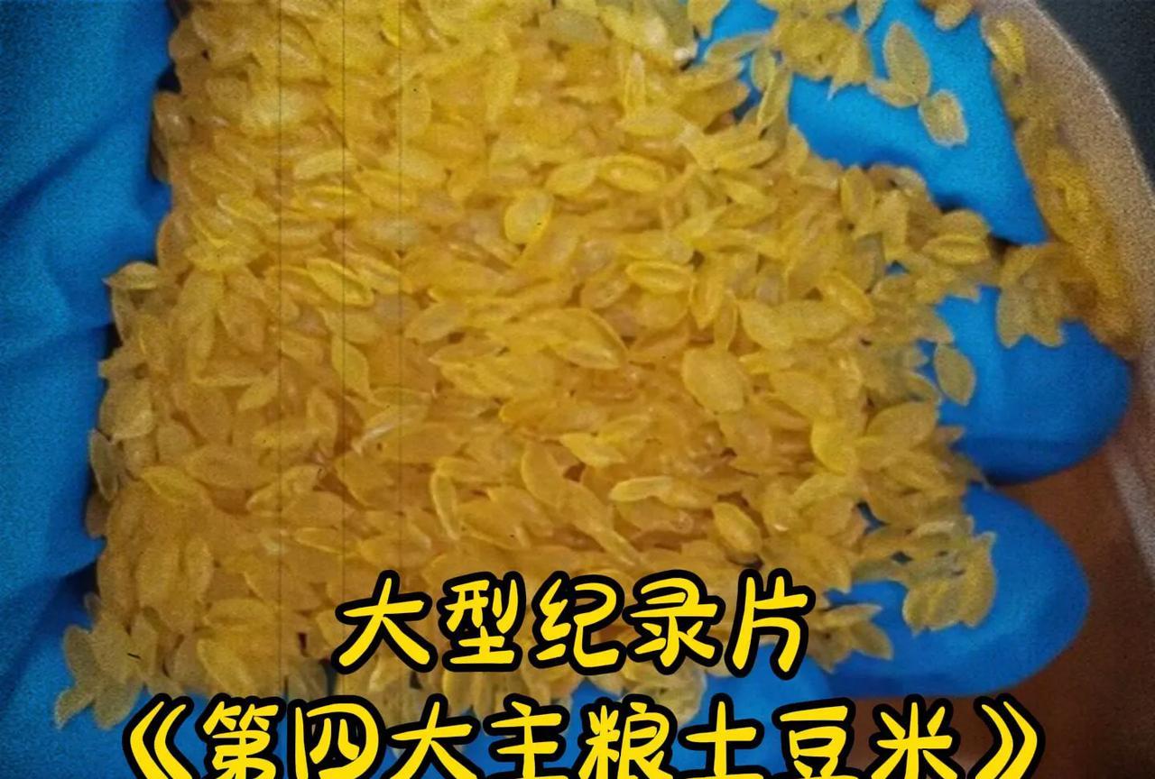 土豆这辈子也没想到自己能变成大米，你敢信吗？中国把土豆变成了大米，把粗粮变成了细