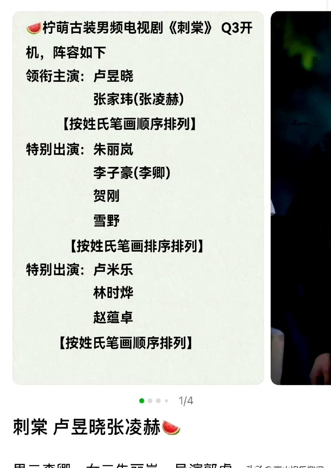 《刺棠》这选角，简直是照着角色脸上找的演员。张凌赫，硬汉苏感拉满，卢昱晓，清冷