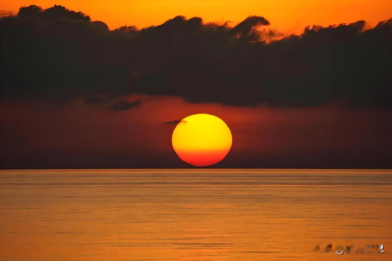 父母是最好的示范我们无法指望一个看着父母终日刷手机、却要求自己努力读书的孩子