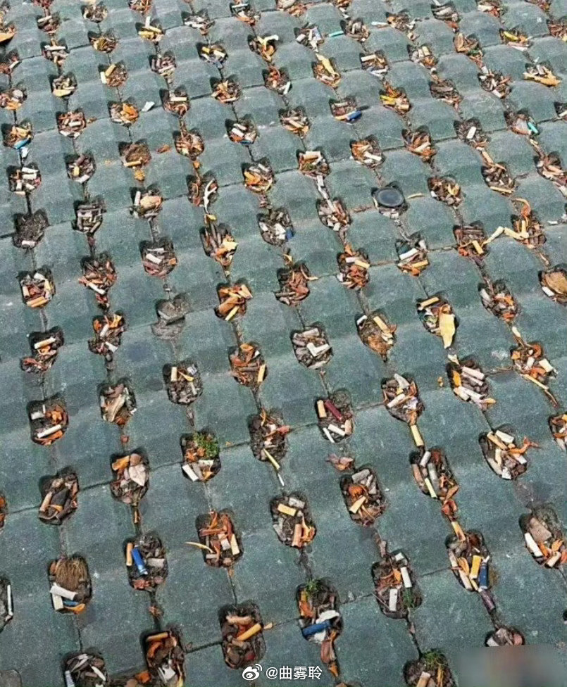 终于知道铺这种地砖的意义了