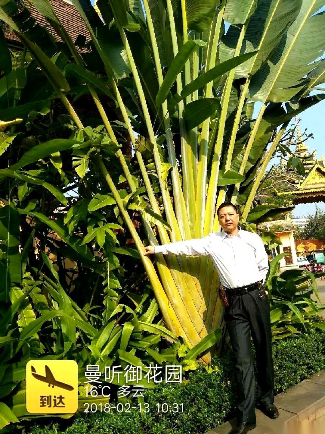 1500块钱一个月，在西双版纳。包吃包住，每顿还六菜一汤。听着是不是跟天堂一