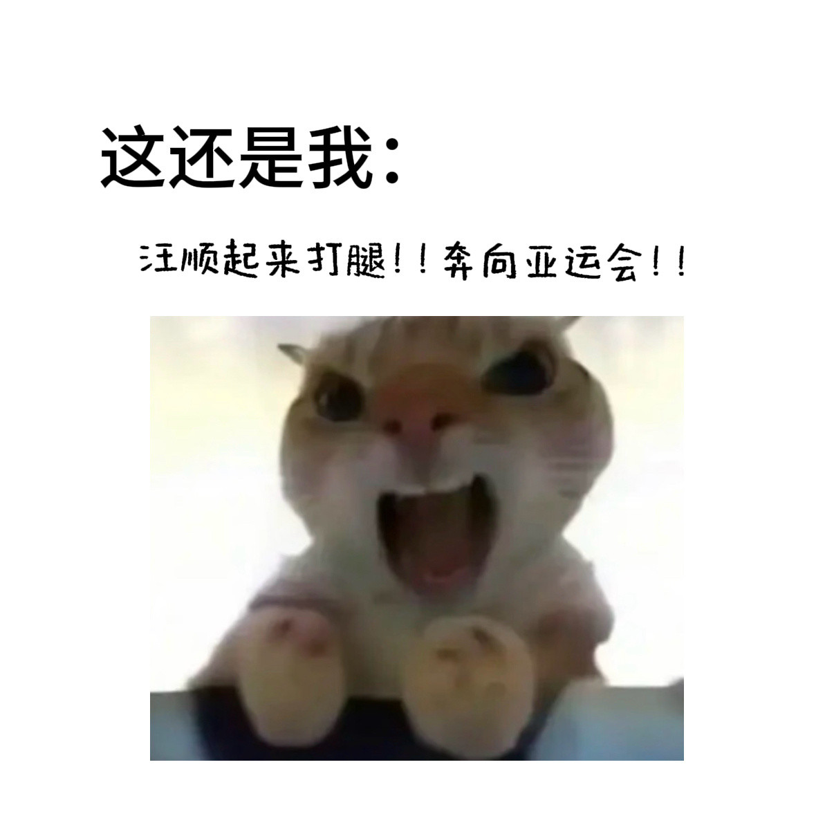 看完今天成绩的我bybike：