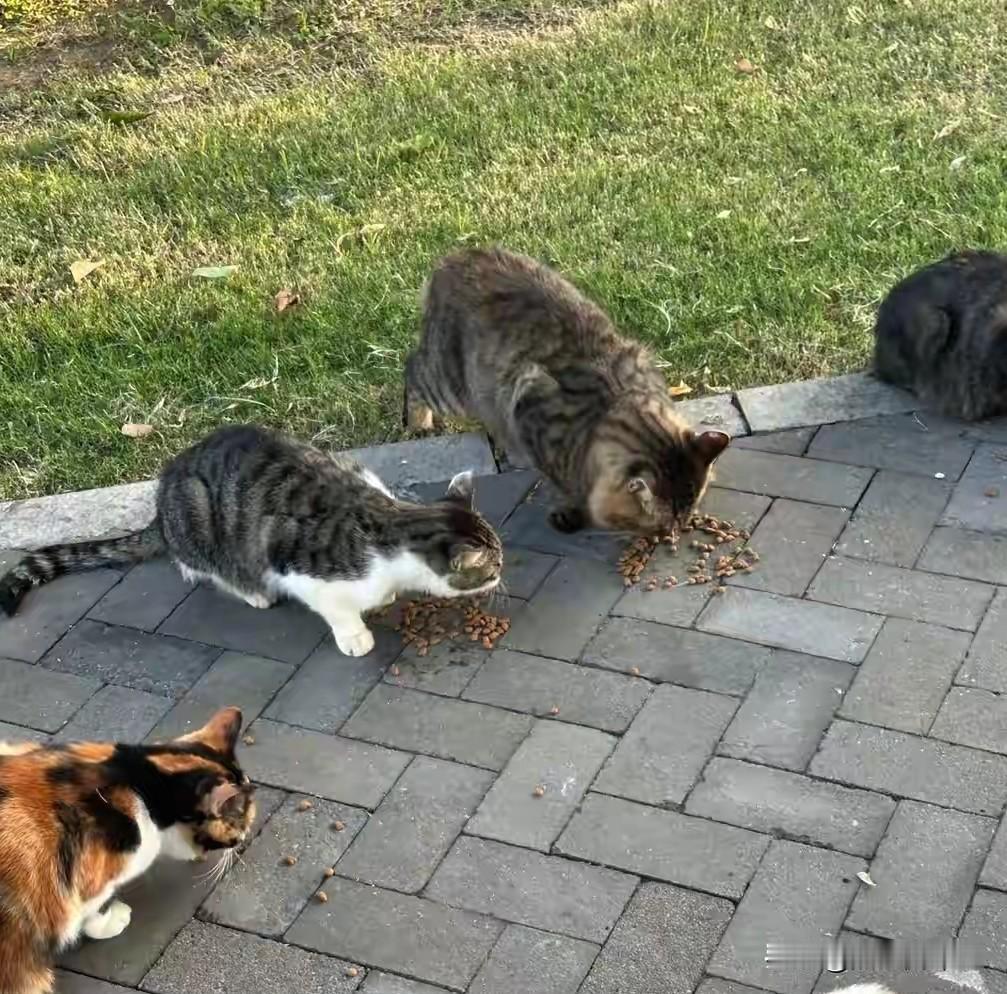 真的破防了！一位网友每月3200元退休金，穿洗得发白的棉袄，挎着旧帆布包，却默默