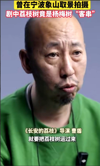 《长安的荔枝》又出问题了！导演曹盾亲自承认，如果要拍荔枝树，就需要将荔枝树运