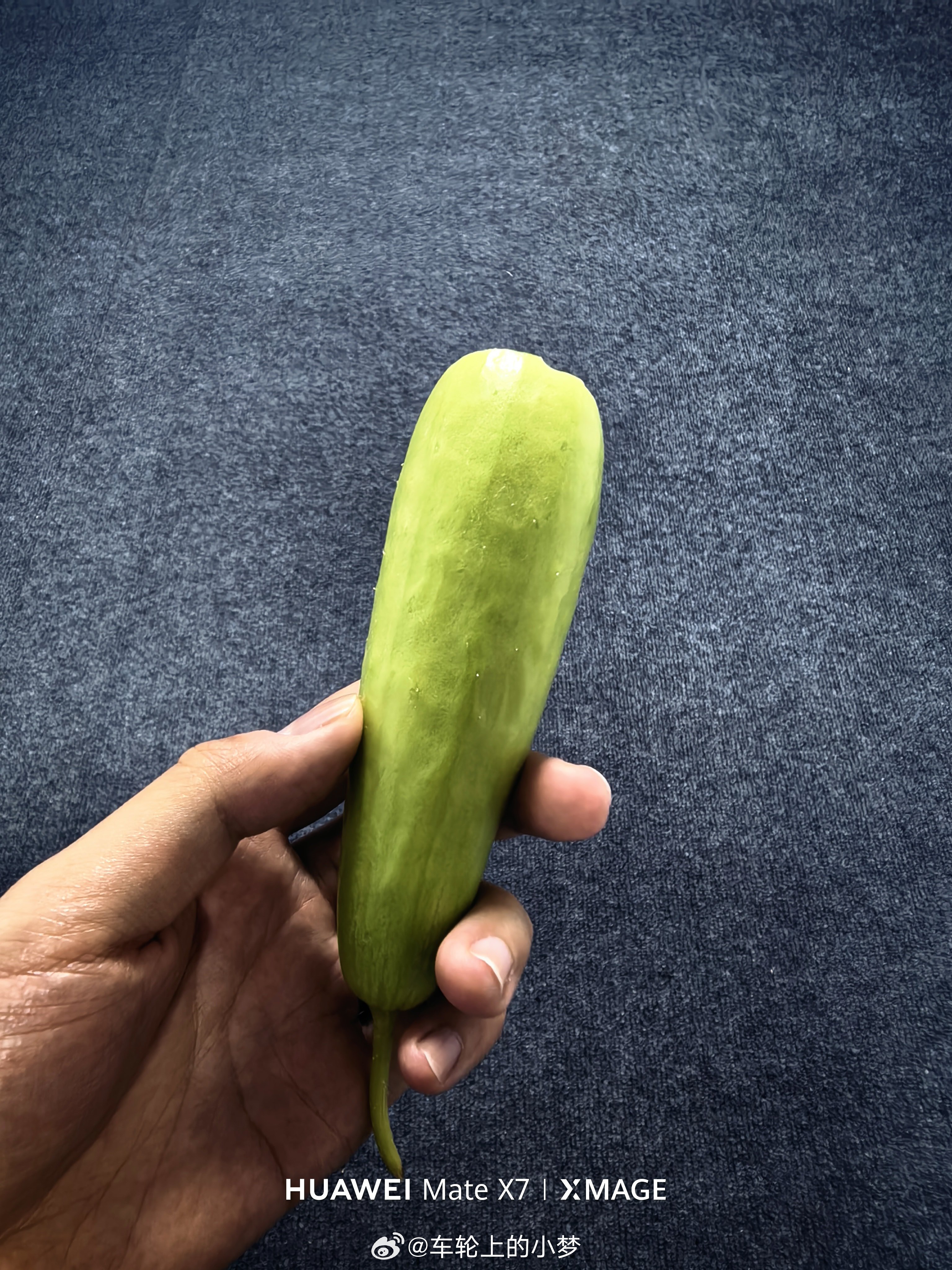 这小棒槌黄瓜（奶黄瓜）也没奶味呢？青岛