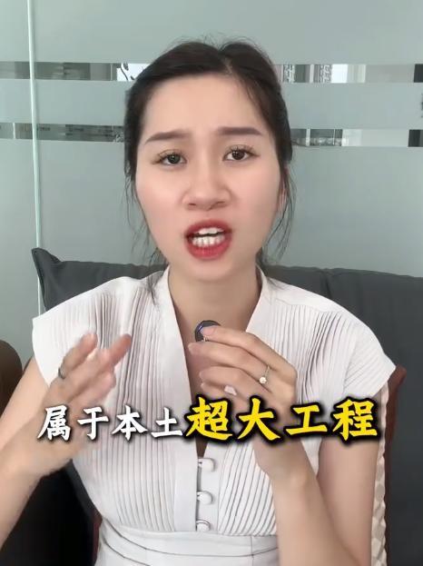 二十年拉锯，一根铁轨没铺。这事儿你品，你细品。你以为越南真想要高铁？那是你太单