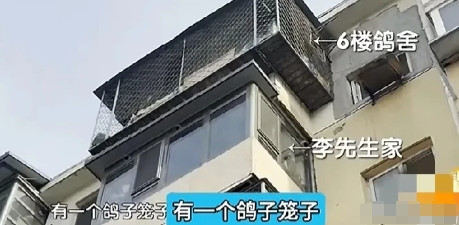 住7年嫌鸽子吵要中介原价接盘？网友：直呼离谱。谁能想到买套房住了7年后，因