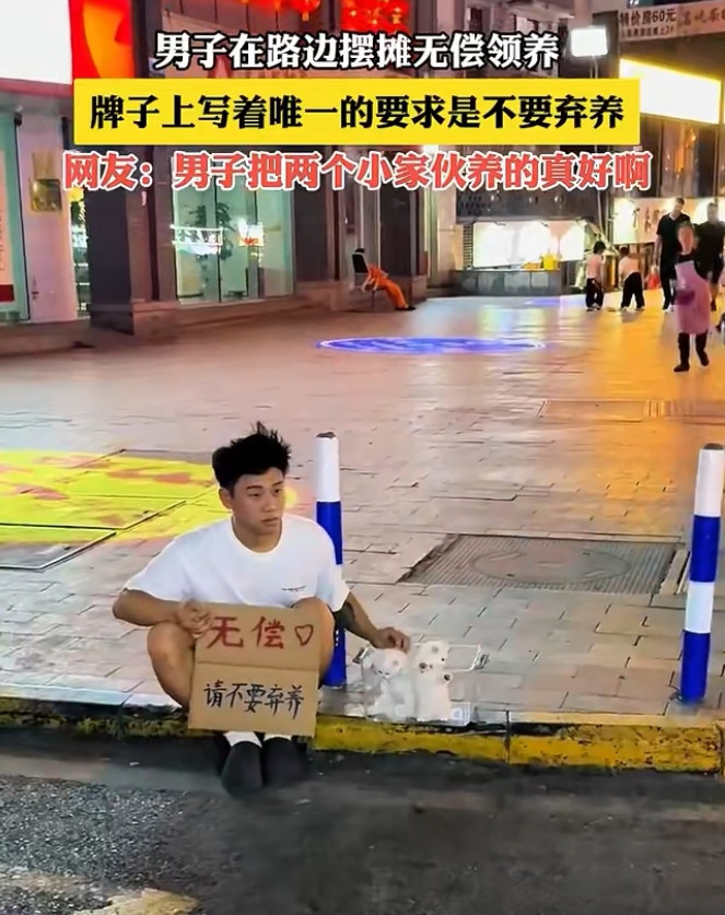 男子在路边摆摊无偿领养，牌子上写着唯一的要求是不要弃养。小伙子的要求是对的，有些人三天新鲜，新鲜感一