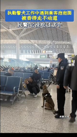 太无语了！四川，执勤警犬工作时，突然停下脚步，民警怎么拉都不动，本以为是发现了情