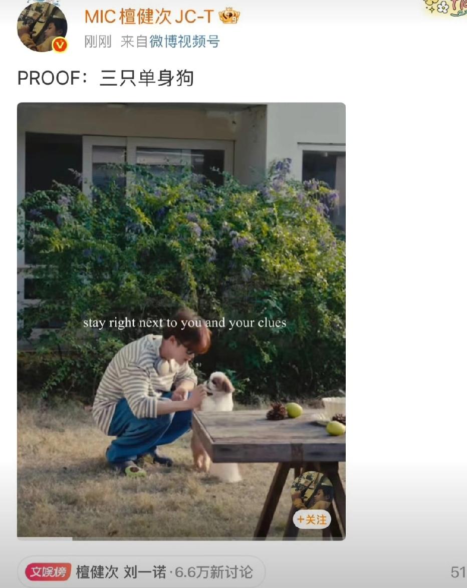 三只单身狗就这个硬刚爽！哈哈真是没招了，三只单身狗，听懂的已经泪流满面了，老实