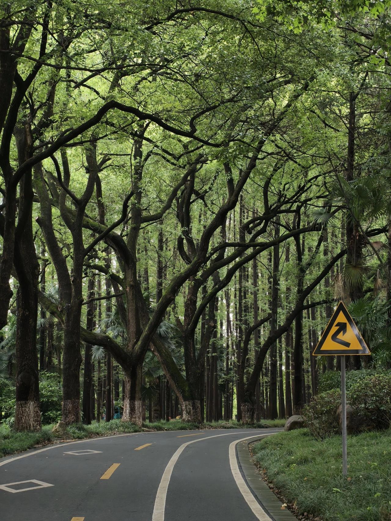 我是真的才知道8月31日前，马鞍山采石矶居然免门票掐指一算，上一次来这里，已