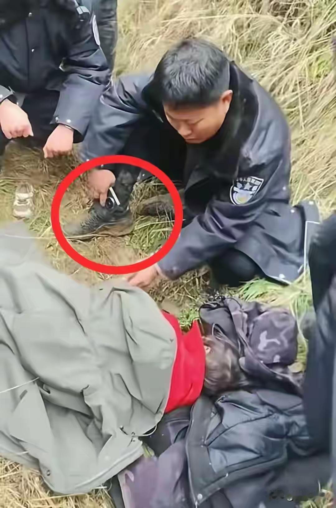 辽宁女孩找到不满24小时，恶心的一幕出现了，爸爸亲自发声辟谣！