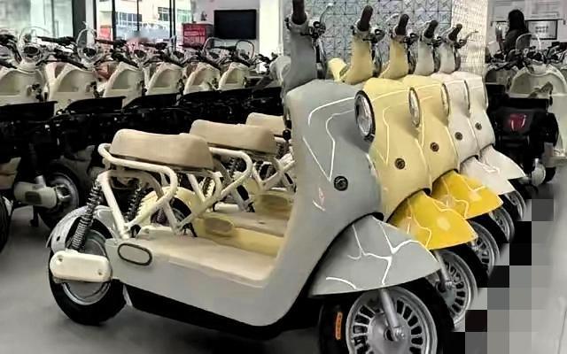 2025新国标电动车被网友喊“光棍车”，这吐槽真的戳到骨子里了！27位专家