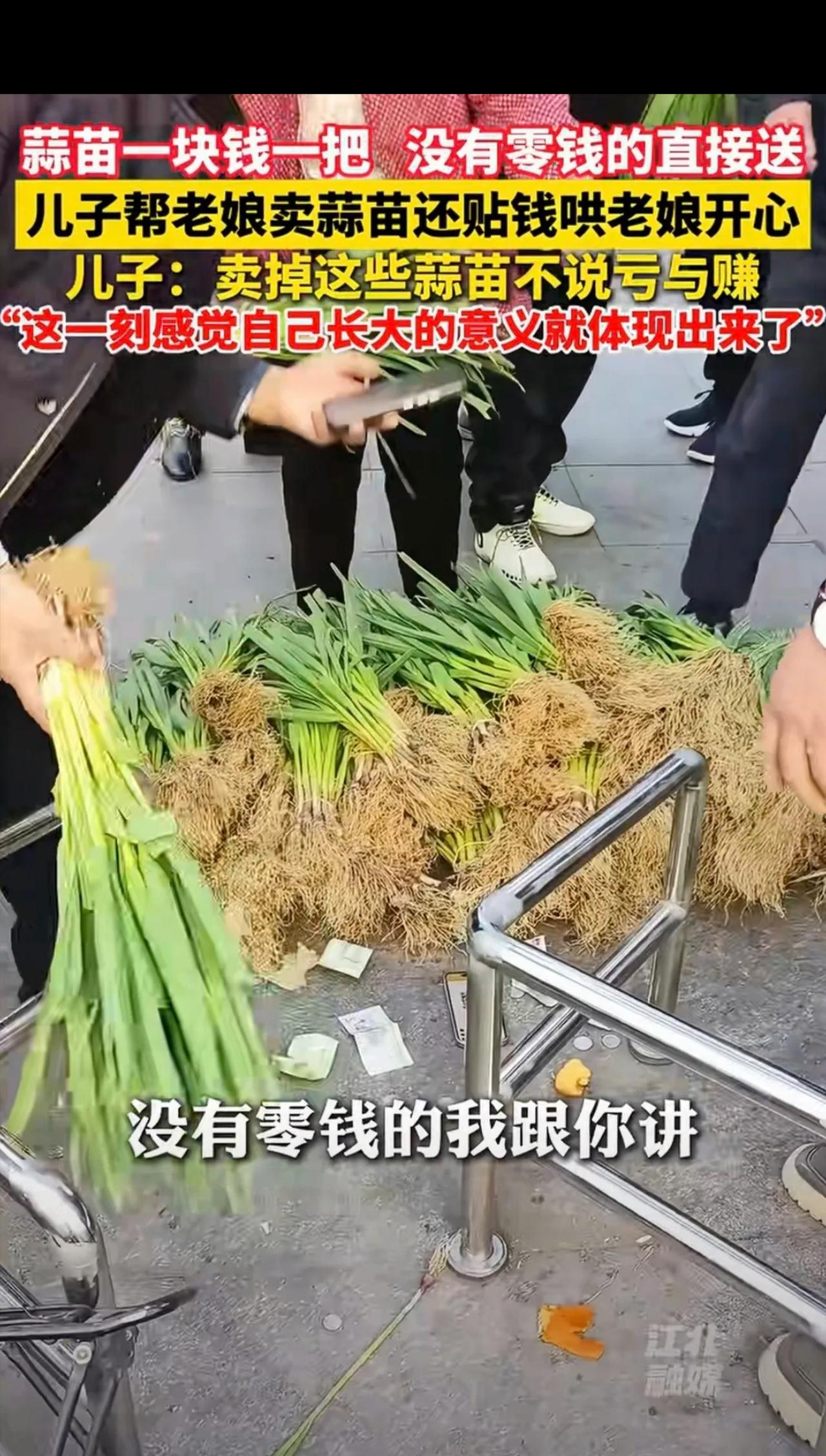 值！安徽蚌埠，65岁母亲种了一亩地蒜苗，卖不掉，愁的直叹气，儿子开车回家，将蒜苗