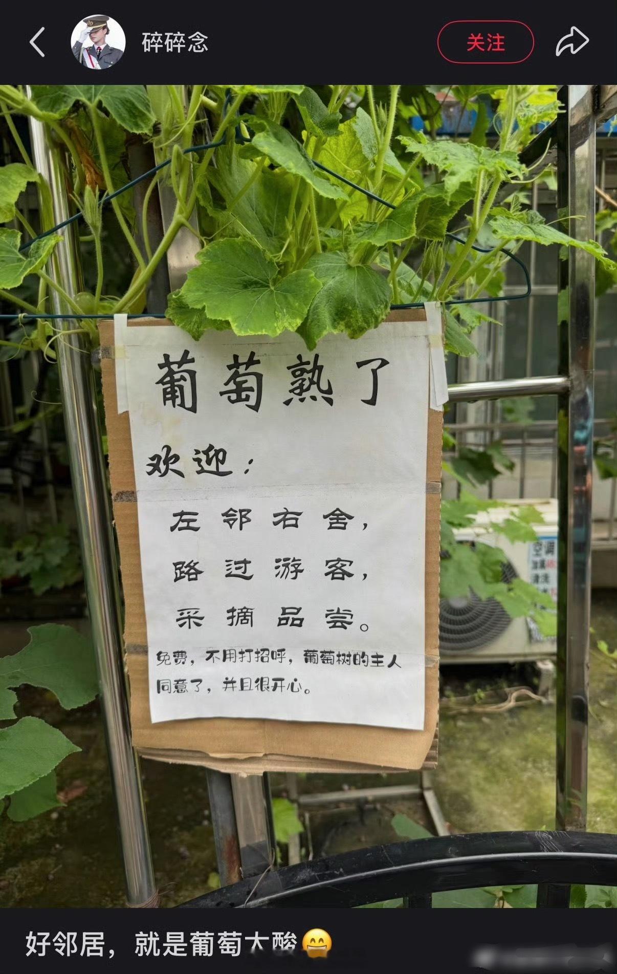 果树主人：终于上当了