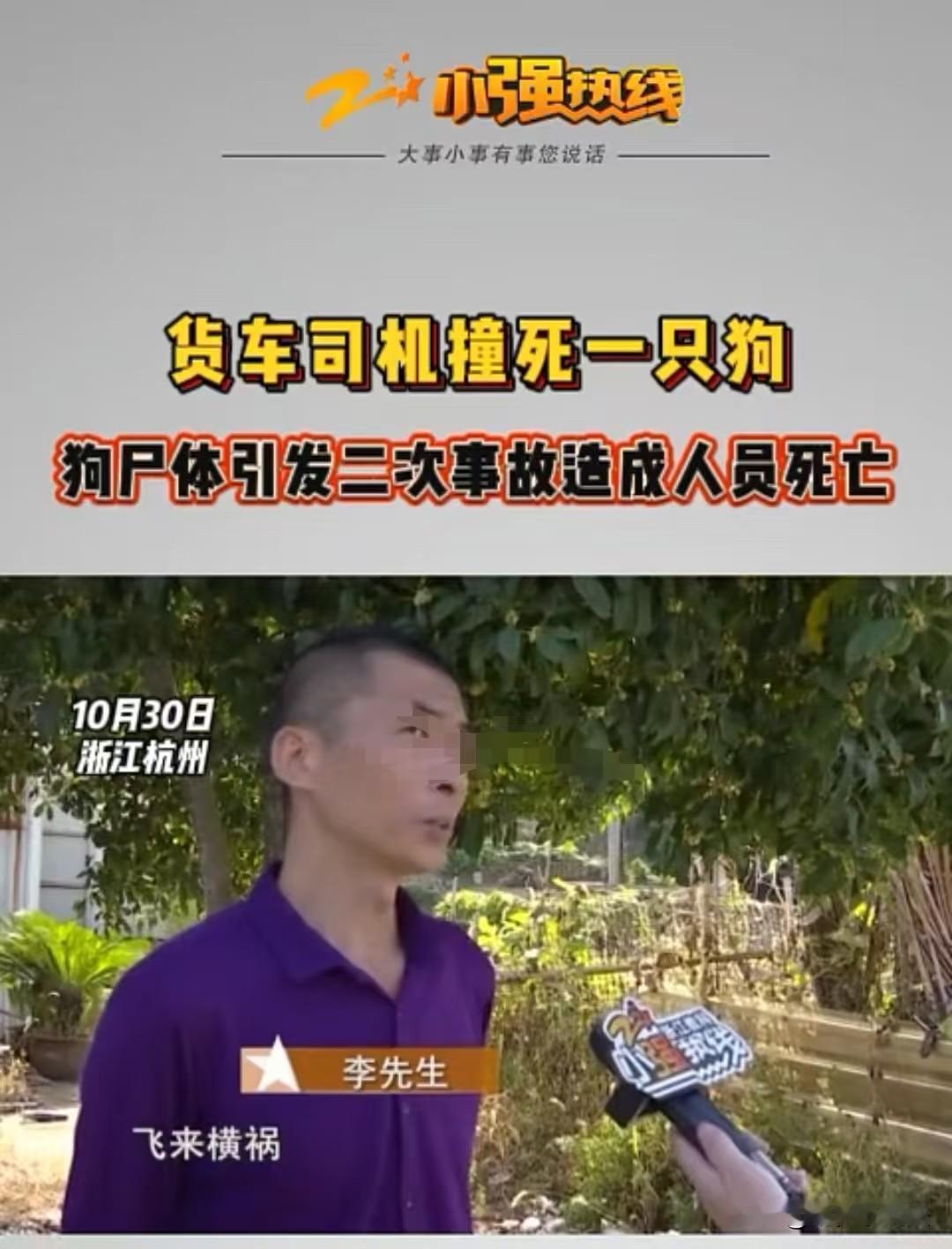 浙江杭州，男子开车压死了一条野狗，他以为是石头就直接开走了，后来一辆三轮车又碰到