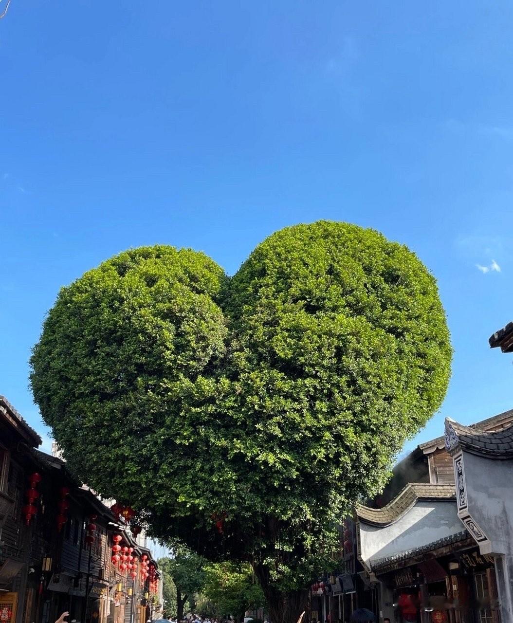 福州的冷知识你知道那几个地名由来：福州因州北有福山而得名，这个福山就是现在的