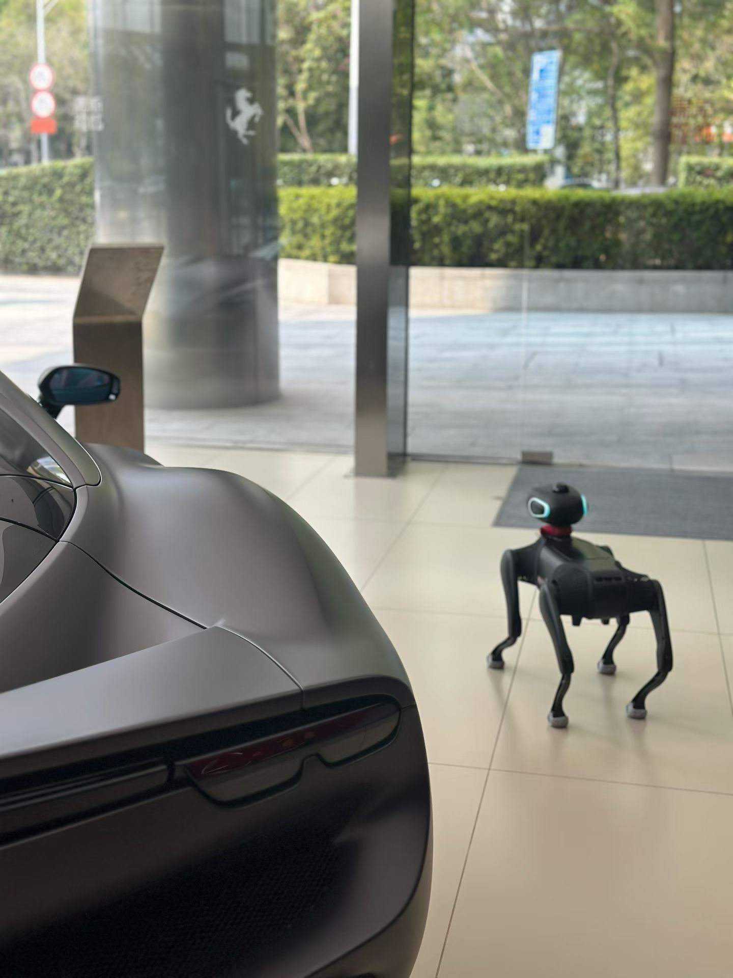 法拉利，电子狗，情绪价值，拉满！