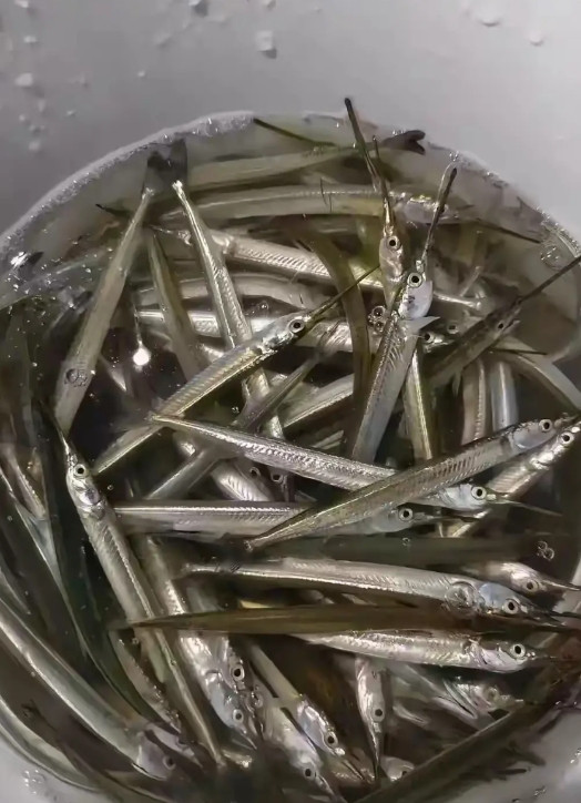 老公钓的鱼，这怎么吃啊?看着都扎嘴