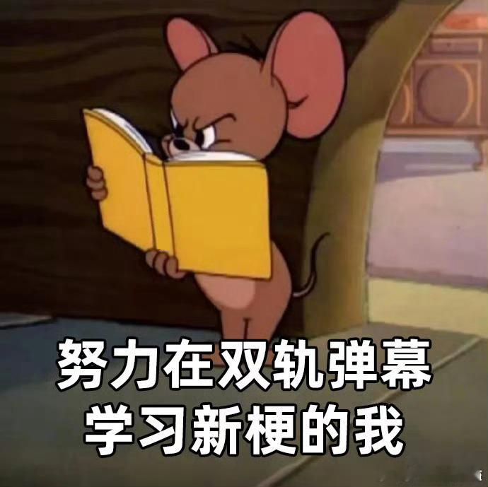 第一次见活人感这么浓的弹幕不是你们怎么都这么有梗啊，看双轨的弹幕真的要笑疯了，好