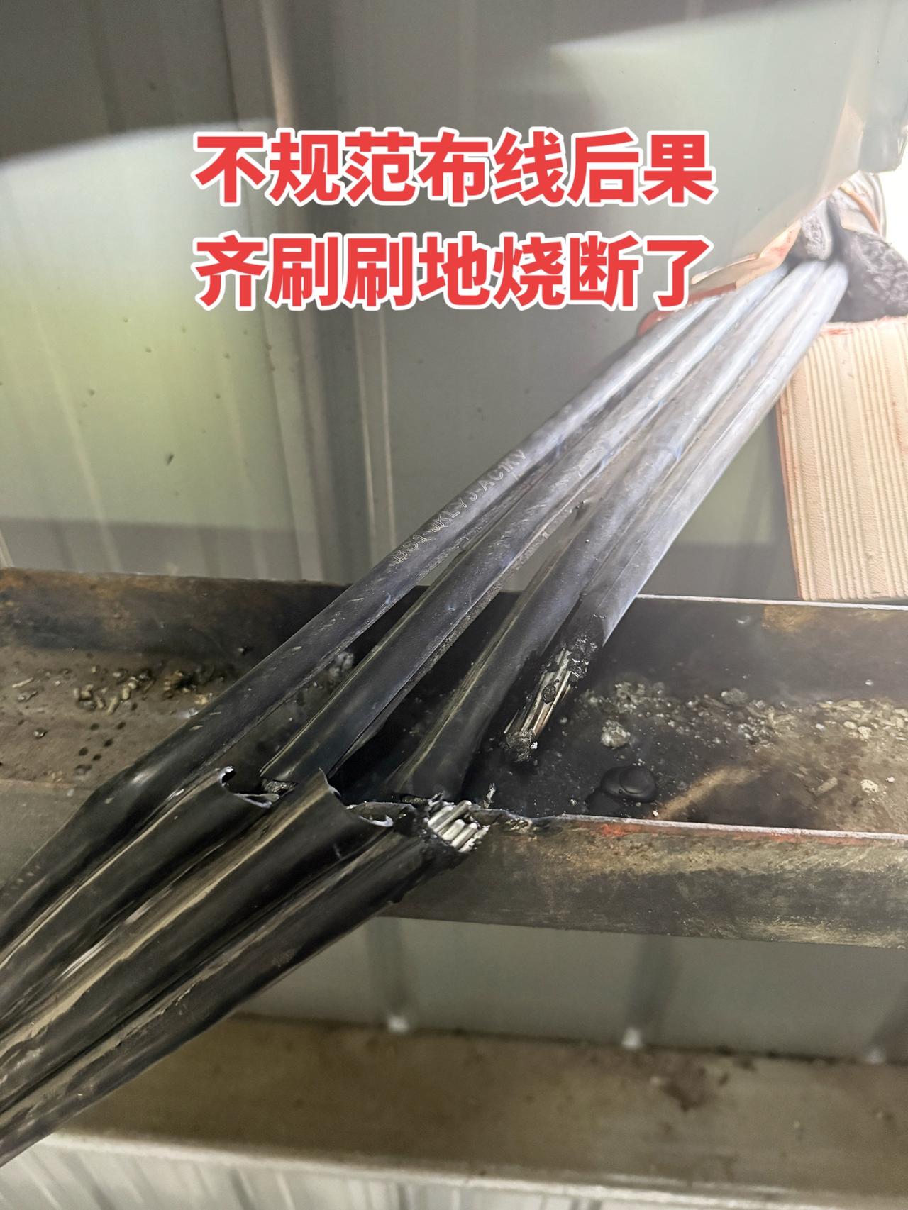 之前没在意不规范布线的问题，没想到后果这么严重，线齐刷刷全烧断了！电工