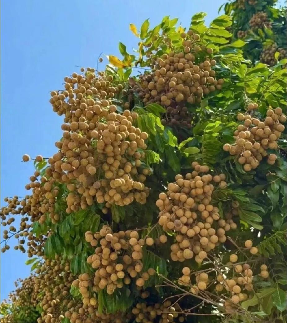 保安、保洁，怎么多挣钱？现在，全民搞外快，做副业挣钱。十个工厂仔，九个跑众包