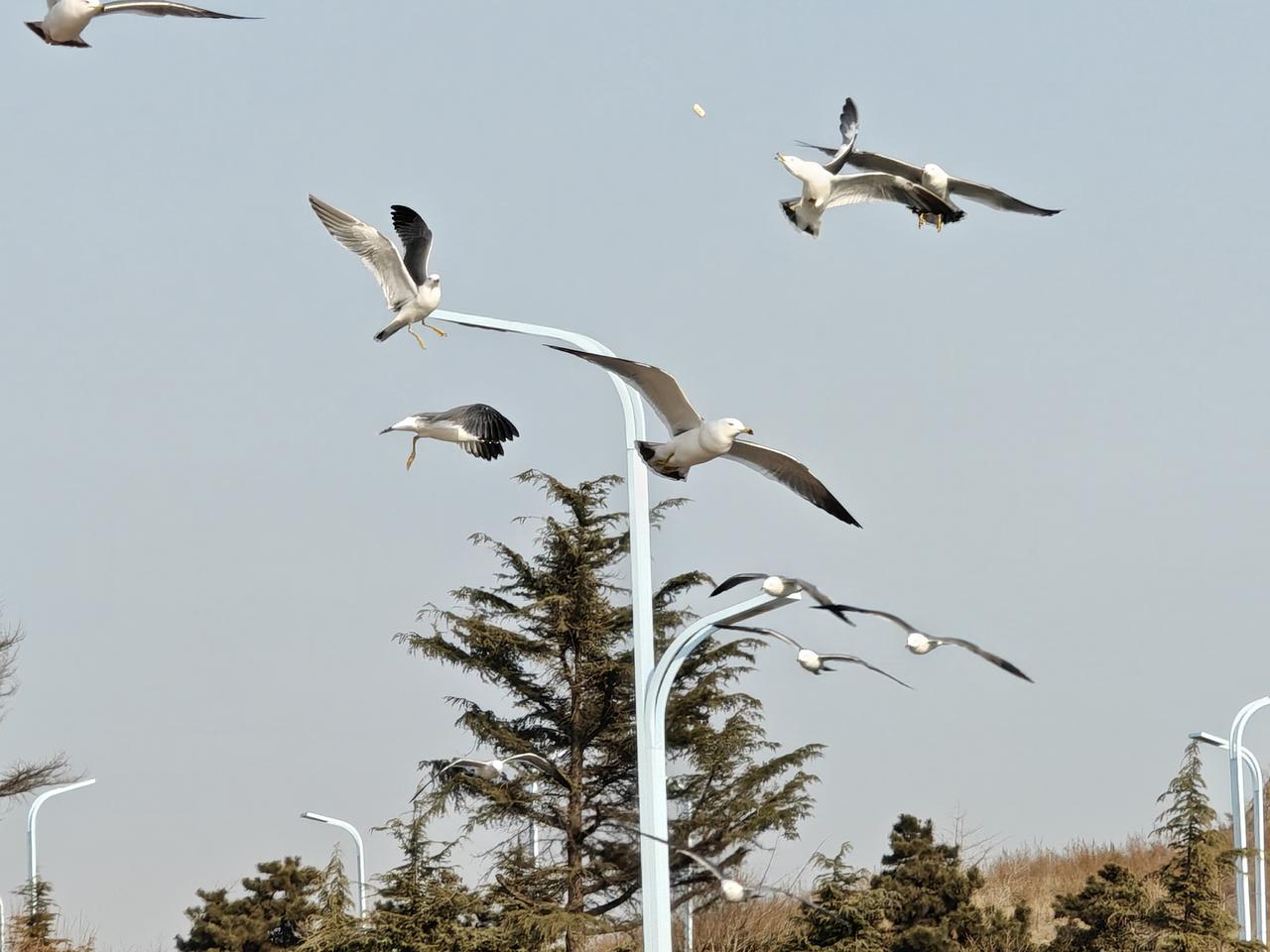 上学的时候，每读到东晋和南宋的历史，都令人唏嘘，愤怒南迁之人苟且偏安，不思恢复中