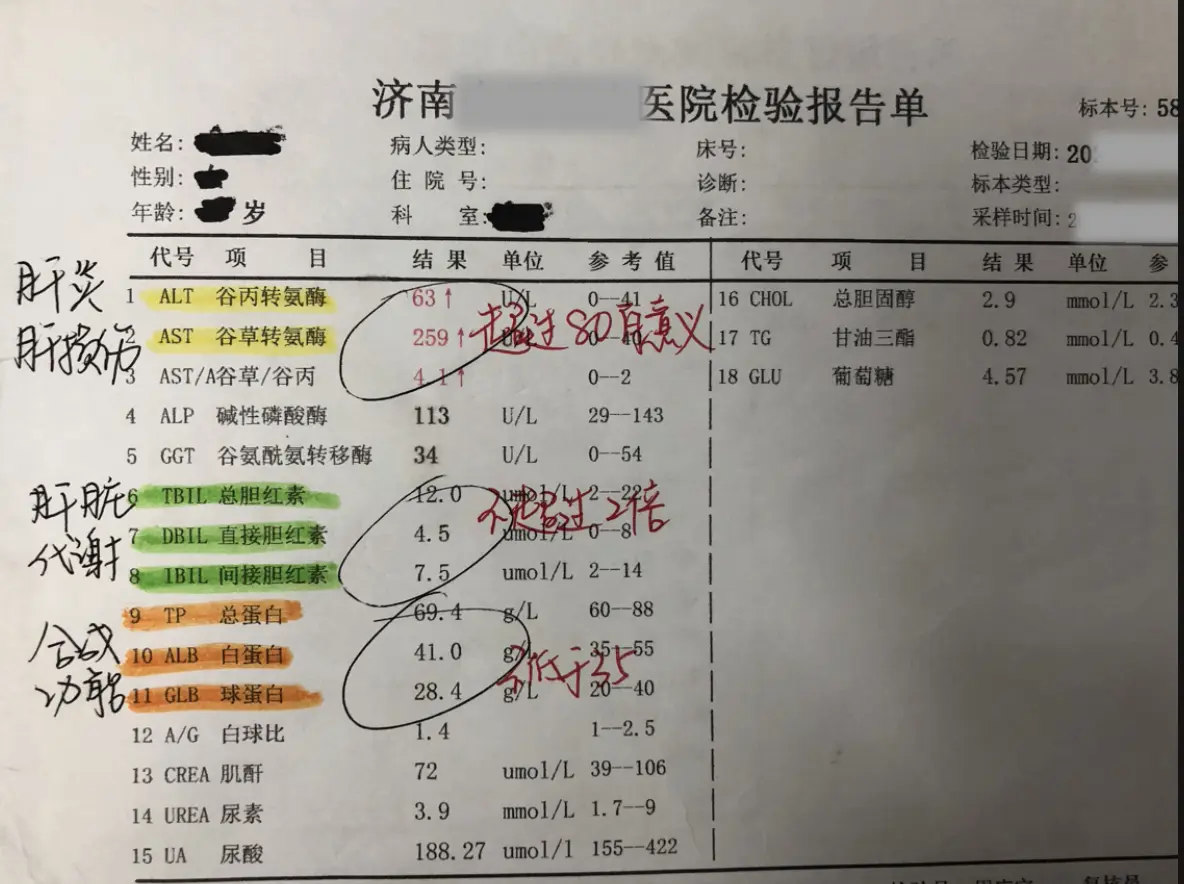 肝功能怎么看？。