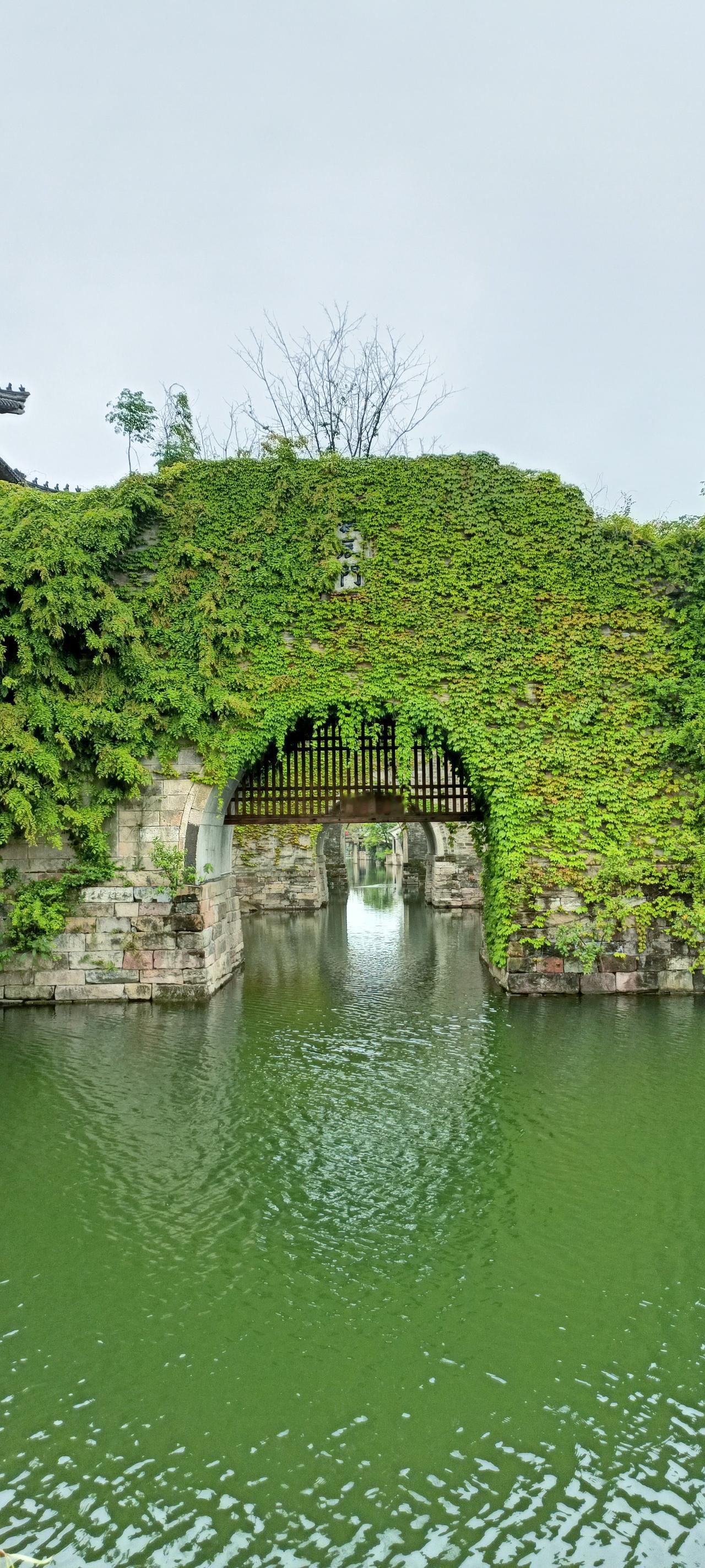 古桥绿意盎然，静谧如画，仿佛时光在此停驻。上联:绿水桥边过，下联:古韵入画来
