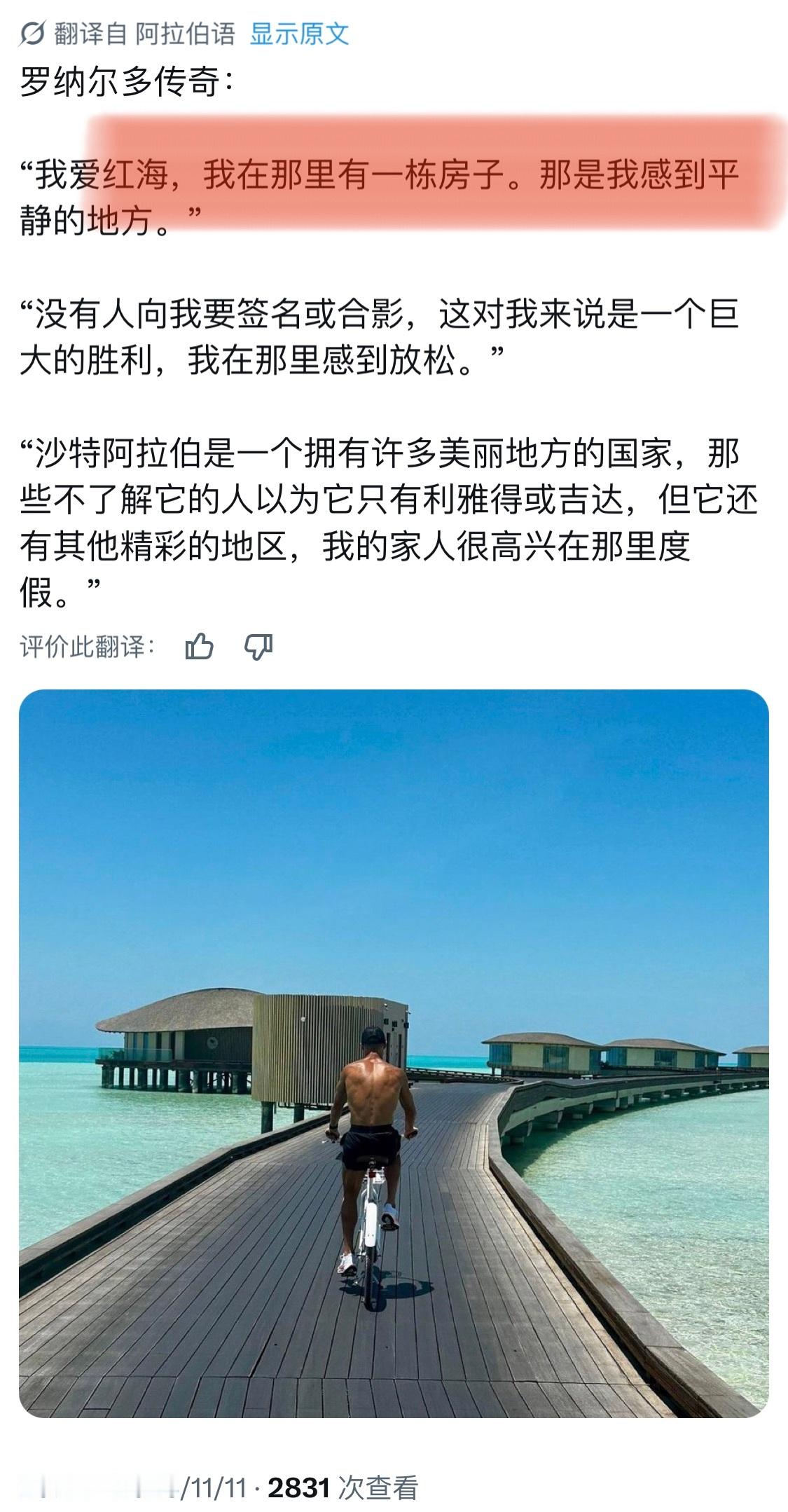 红海最佳代言人🙉