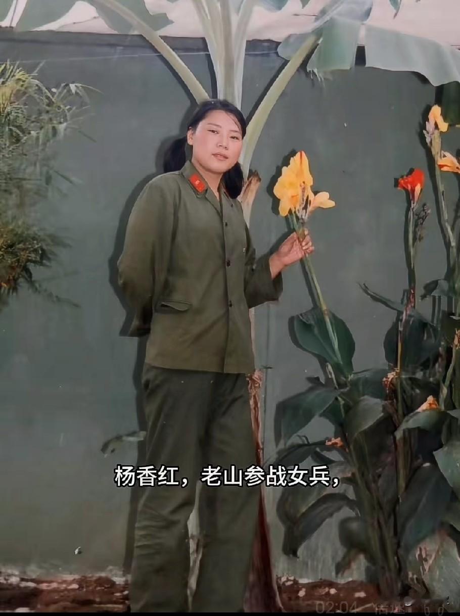 杨香红，老山参战女兵，杨香红是陕西渭南籍女兵，隶属于原兰州军区第21集团军步兵