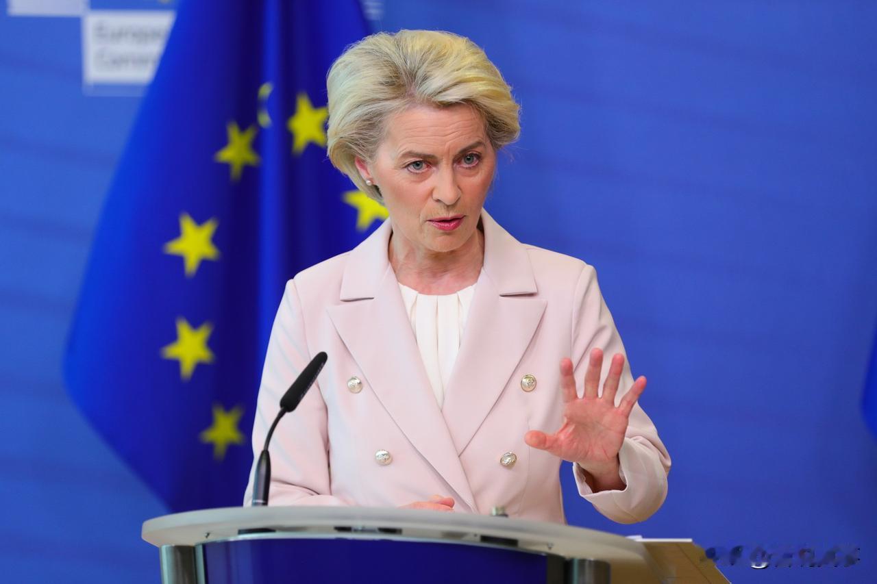 欧盟最新消息来自法新社3日报道，欧盟成员国已达成协议，计划在2027年秋季之前