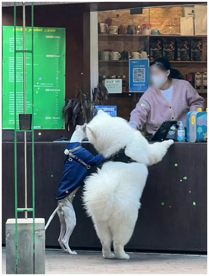 《我和我的细狗男友》