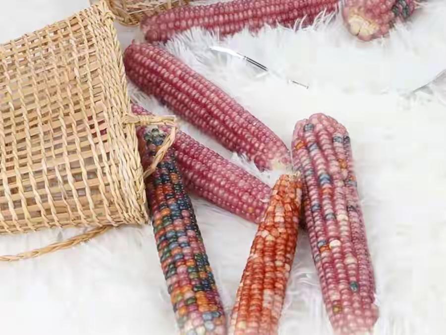 “万物皆可盘”，但不管怎么盘，都是在盘你口袋里的钱。以前的文玩核桃，崩了。只