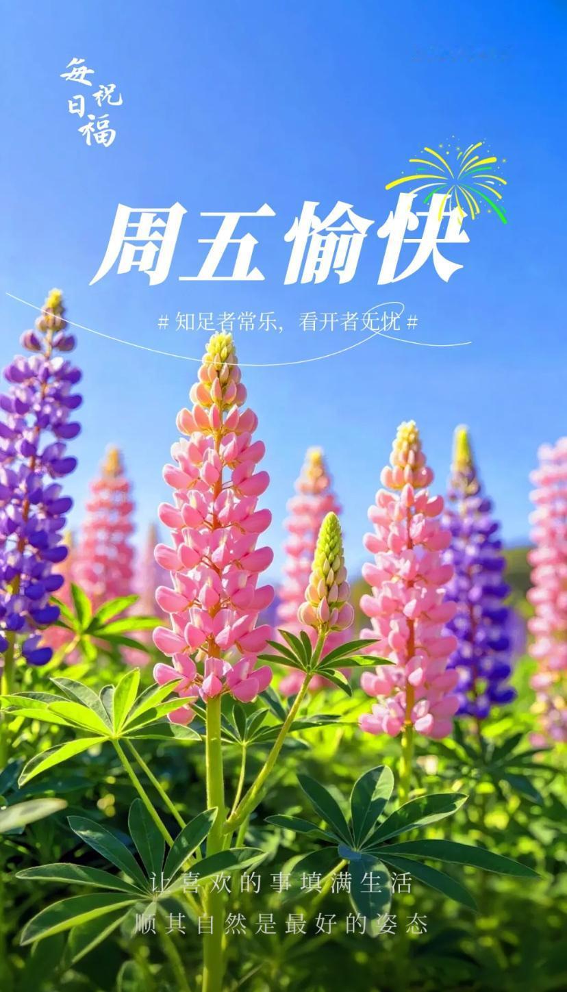 春晨问安，春临万户祥瑞至，福降百家喜乐随。2026./04.17.[