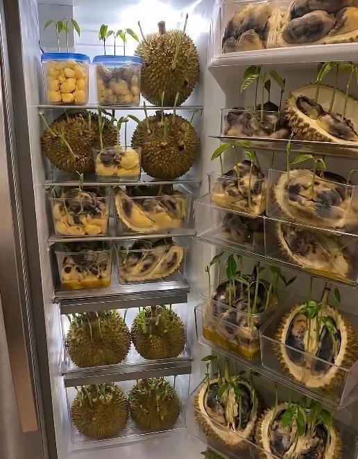 这冰箱可以找收废品的回收了。