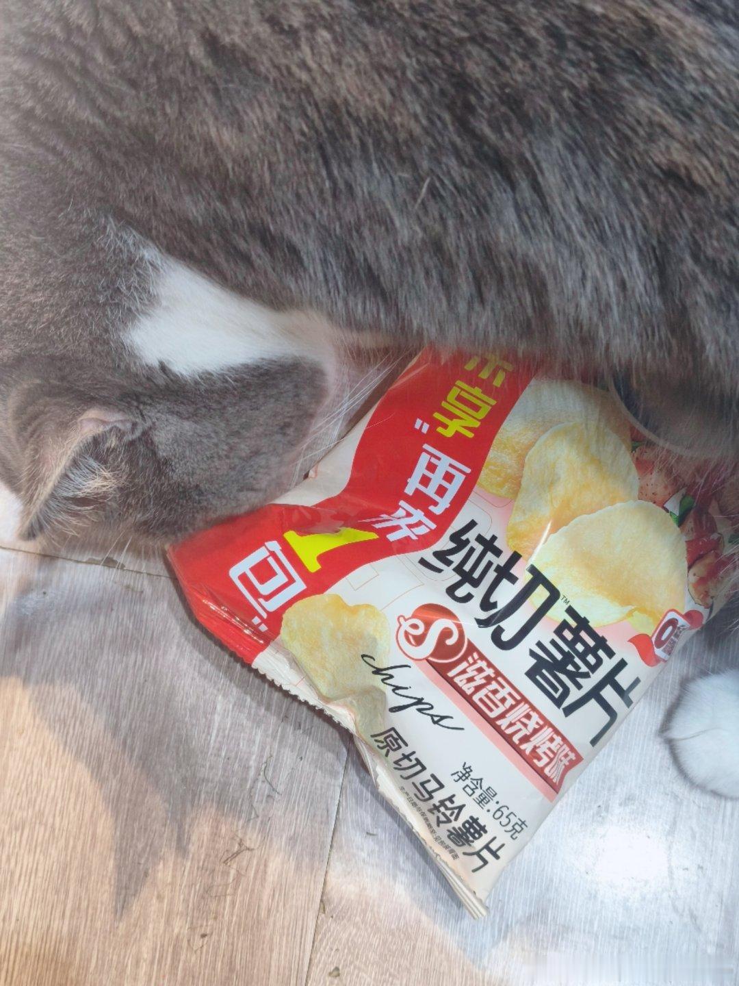 建议大家不要长时间呆在家里要不然你就会知道外面猫咖里的猫，只会看见人手里拿的猫条，看不见拿猫条的人外