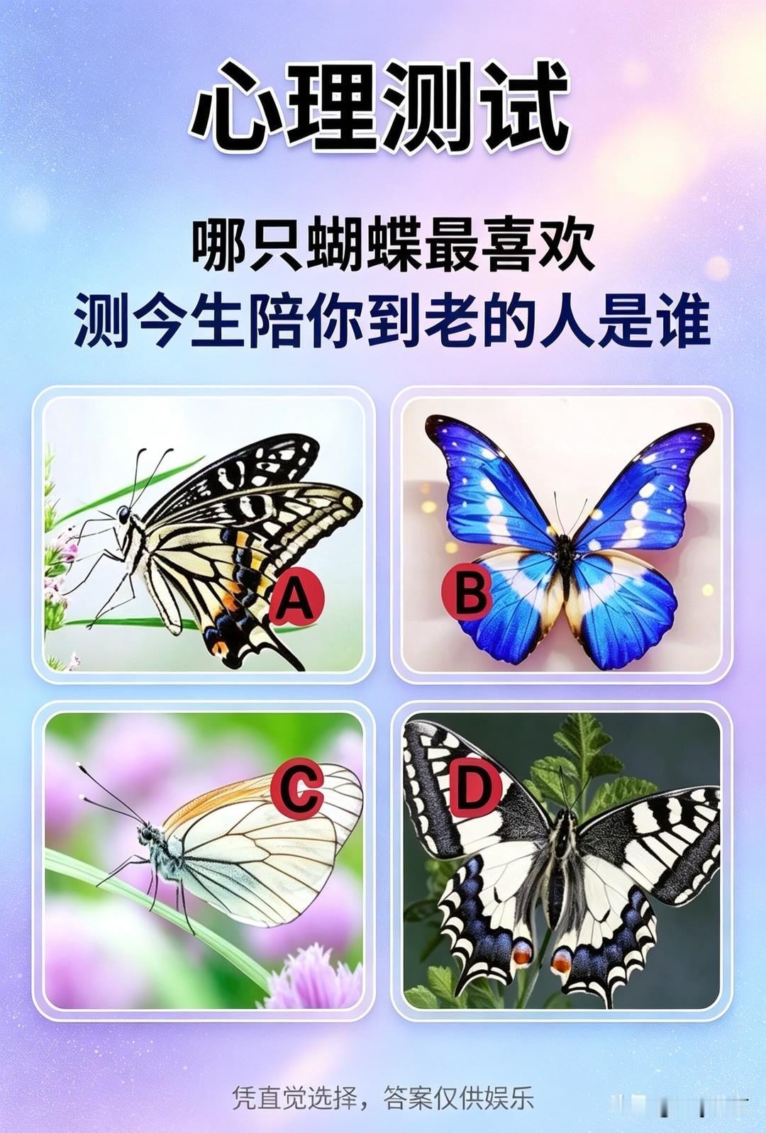 哪只蝴蝶最喜欢测今生陪你到老的人是谁