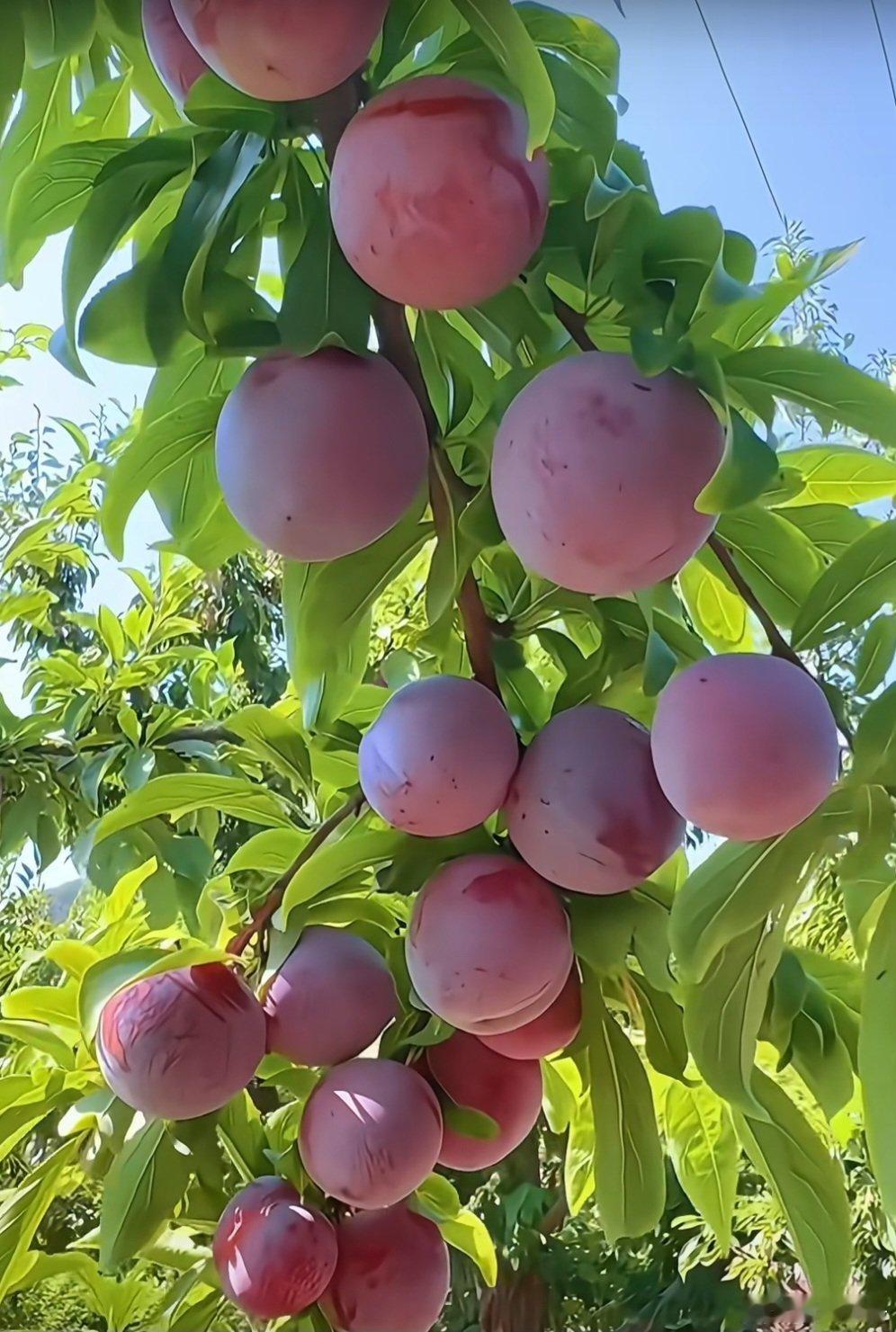 今天A股大盘沿袭了昨天下行的走势:东方财富App显示的10项指数除北证50