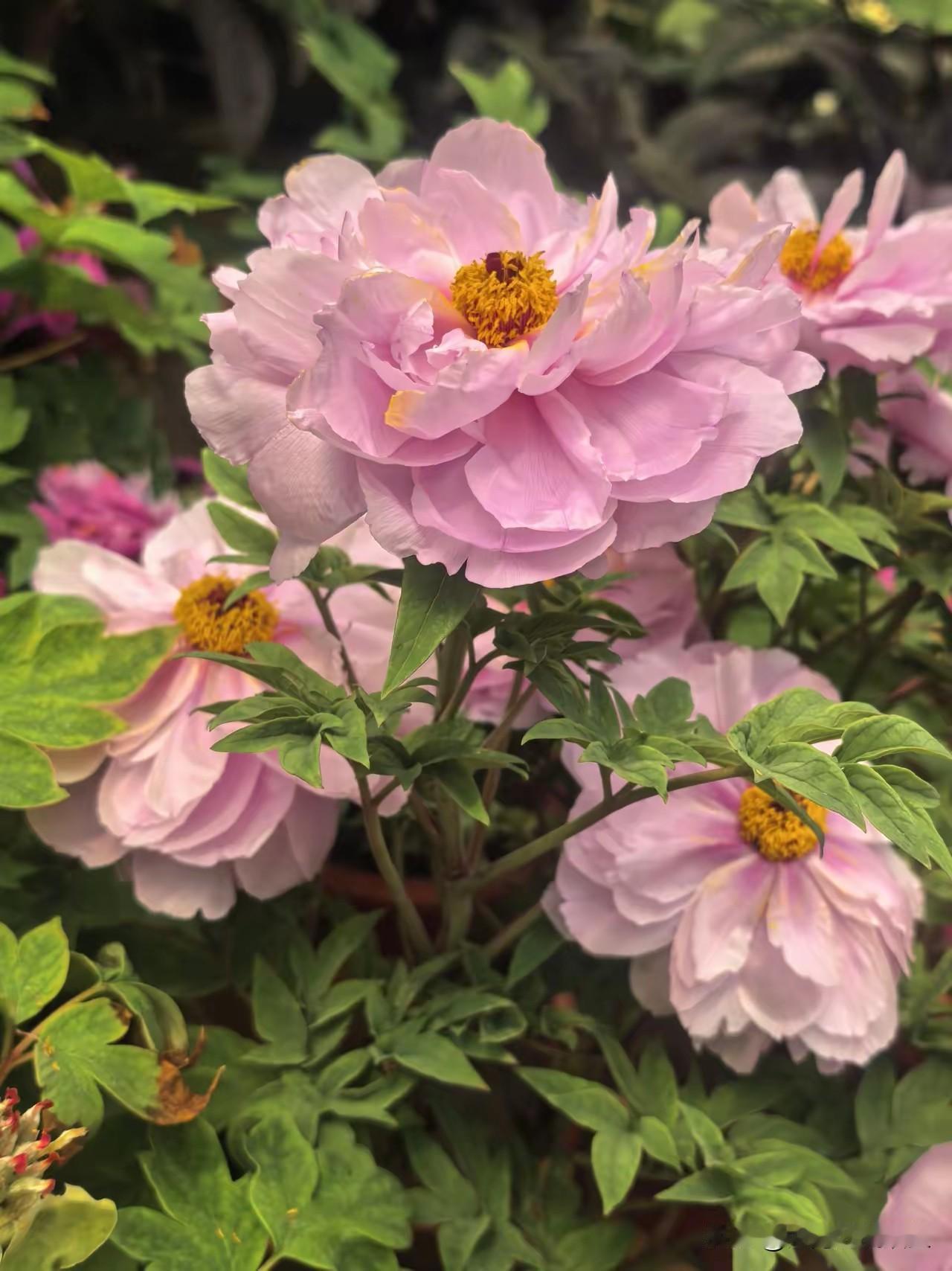 从三线小城到广州：这趟出差让我彻底明白，为啥大家挤破头也要留一线城市去广州