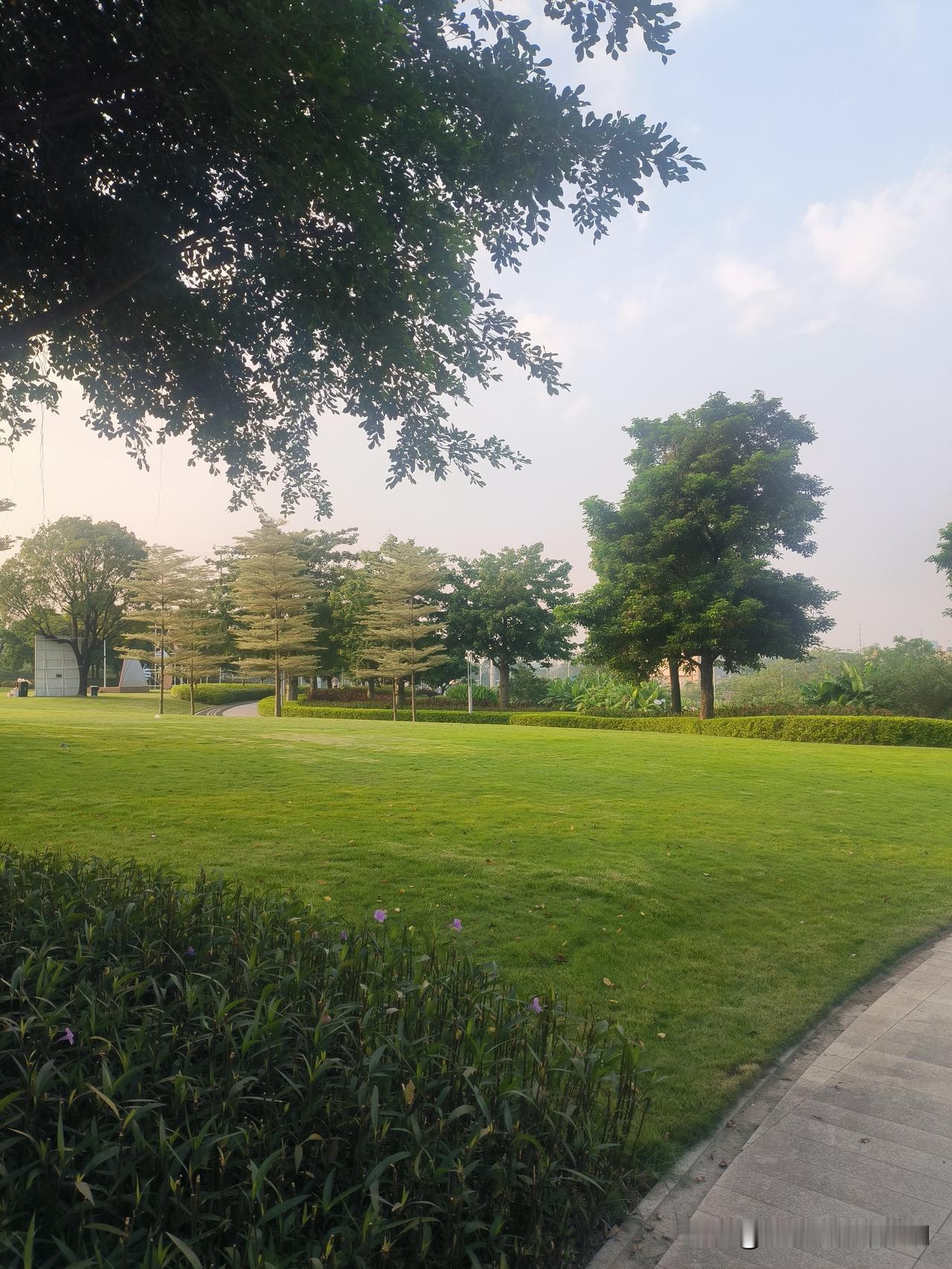 近日，我的广州的一位56岁的朋友很是苦恼，他儿子几乎与他断绝父子关系的苦恼。