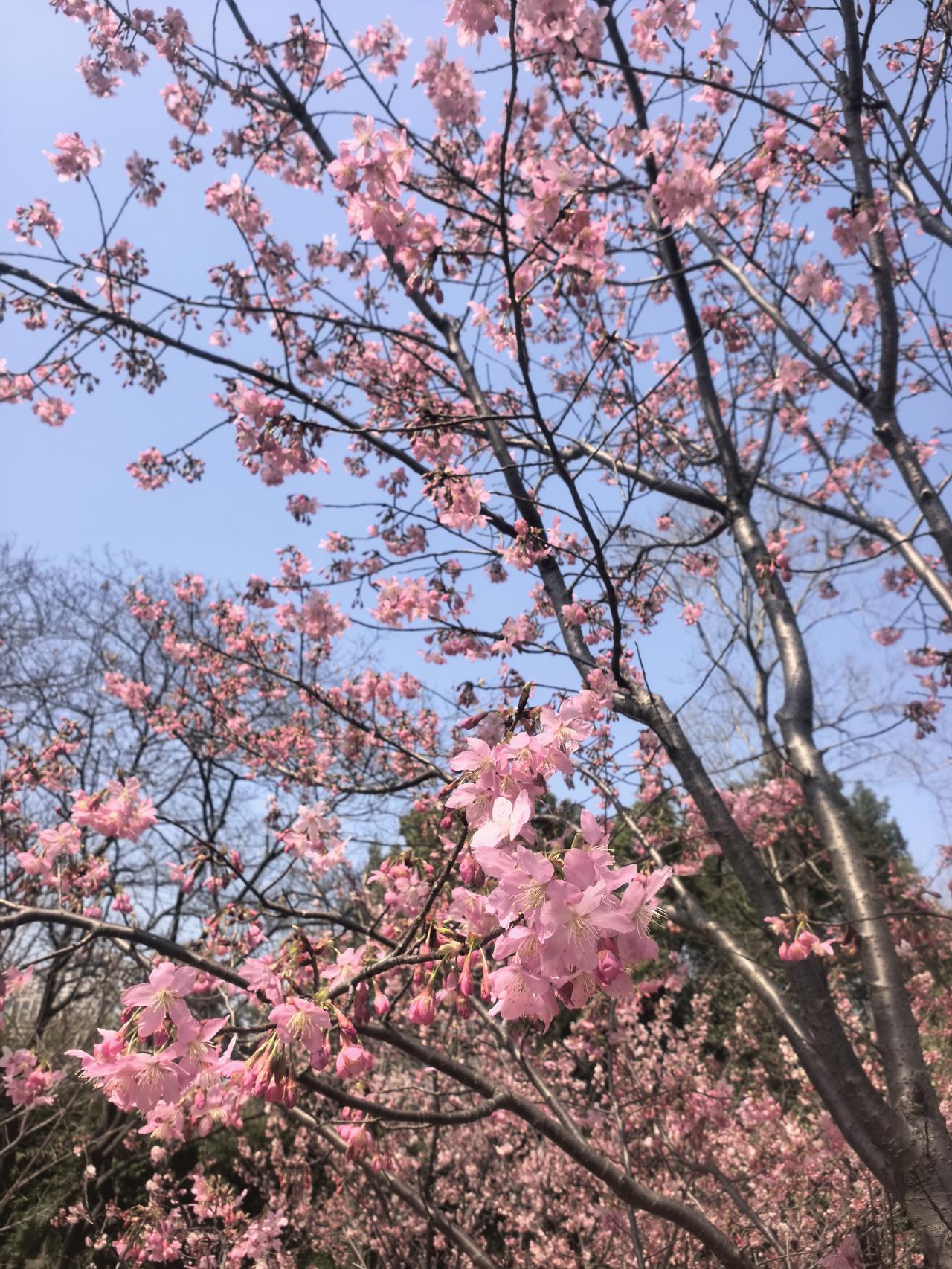 首先是健康的身体。不用麻烦子女端茶倒水，不用在医院里忍受病痛折磨，能自己做饭、自