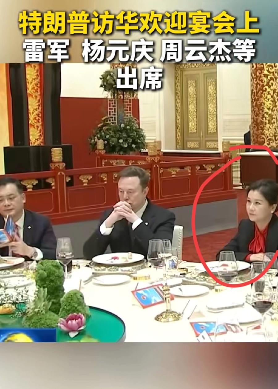 马斯克左手边，这位女士是谁？应该也是企业家，能坐马斯克旁边，肯定不是一般人，还是