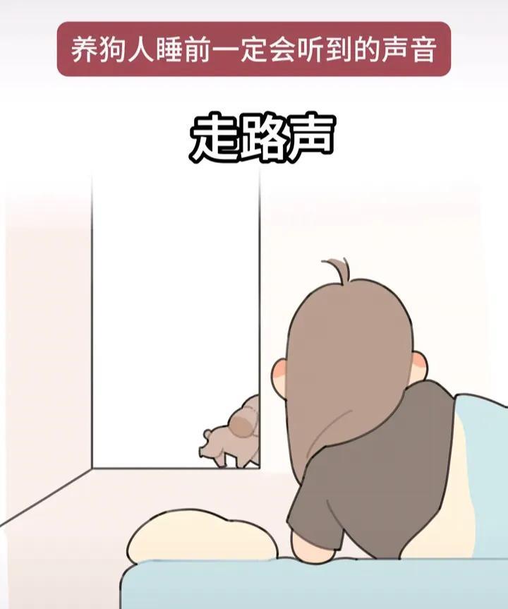 刷到个小视频，总结了养狗人睡前会听到的声音：走路声、喝水声、喘气声、舔爪爪