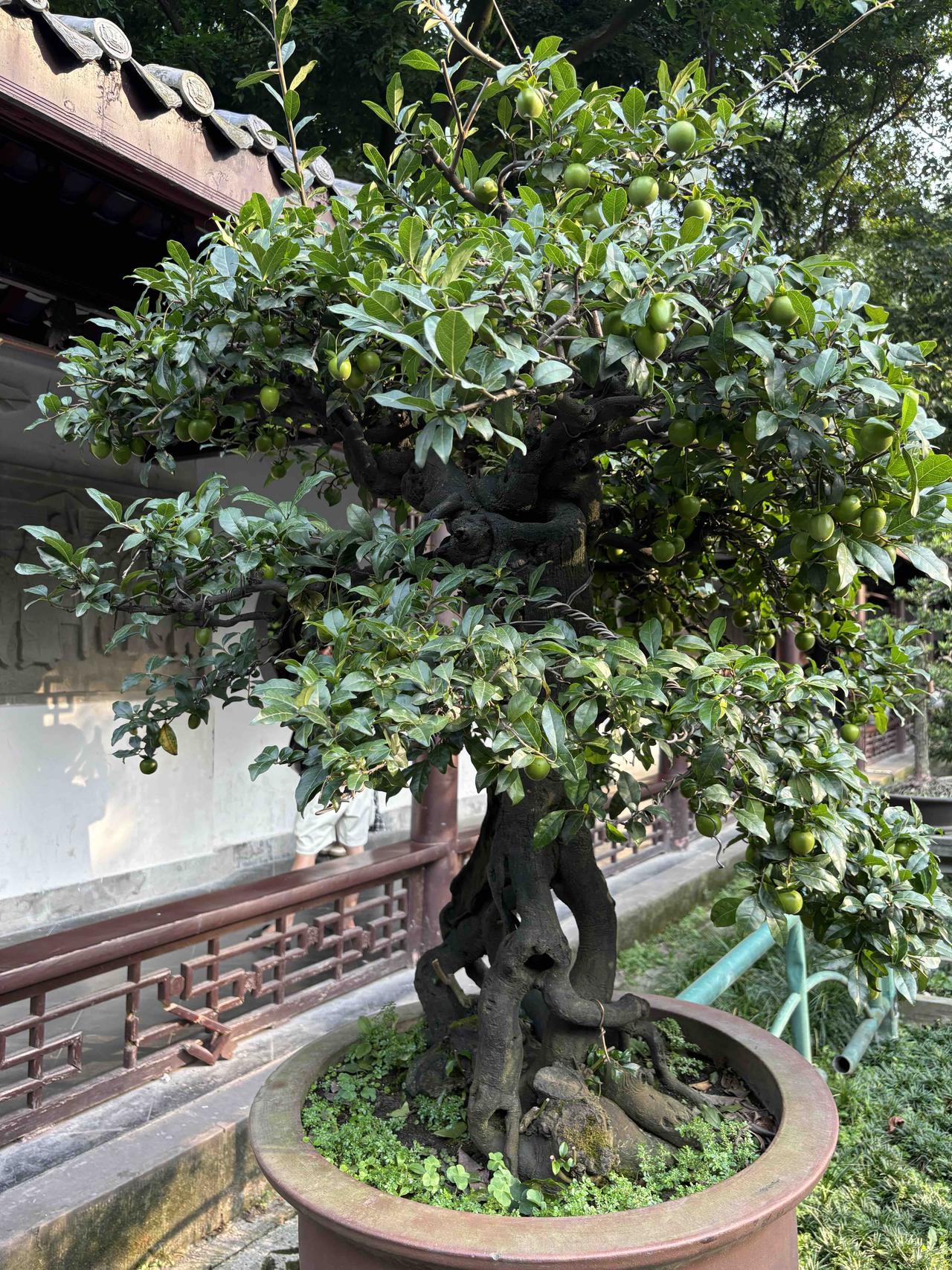 课后延时服务老师能从中赚到钱，为什么还有很多人想取消它？无非是以下几种原因：1