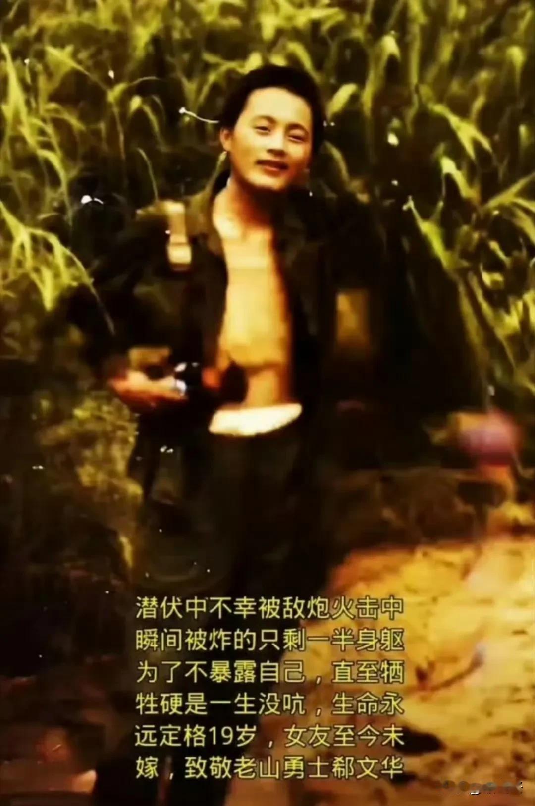 岁月静好，勿忘英雄！向老山英雄郗文华致敬！老山战役的硝烟中，郗文华冲锋陷阵，