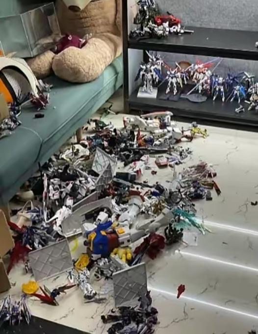 “孰是孰非？”新疆，一女子与丈夫发生争吵，一怒之下，她冲到房间将丈夫珍藏了一柜子